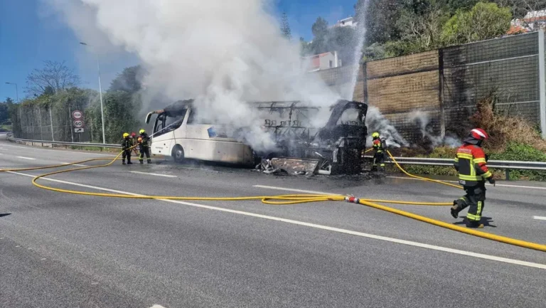 Incêndio em Autocarro Escolar em Oeiras: Um Susto que Reforça a Necessidade de Vigilância Constante
